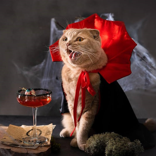 Fantasia Capinha de Vampiro