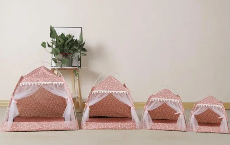 Caminha Tenda – Premium