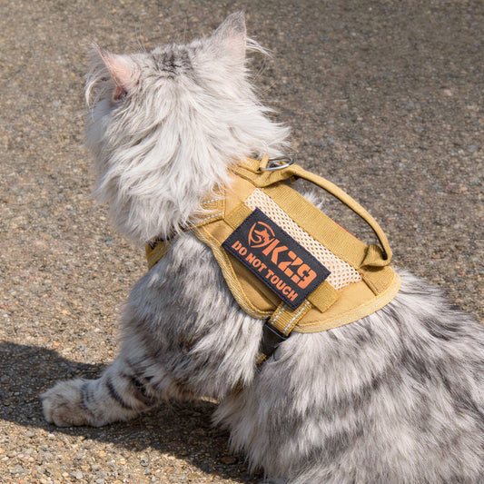 Peitorais e Coleiras Táticas