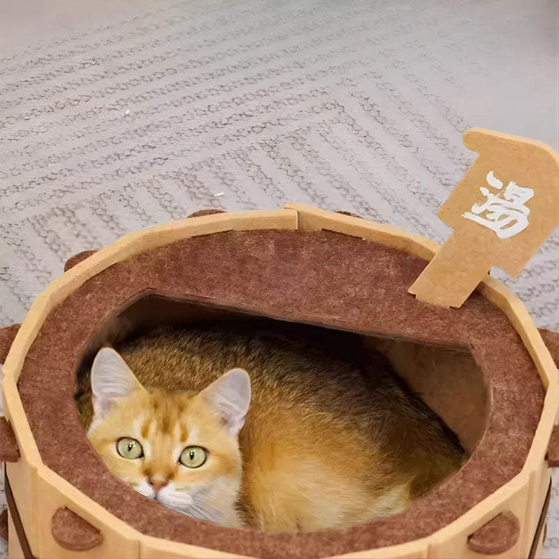 Gato amarelo no interior da banheira para gatos