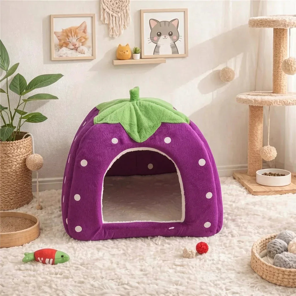 Cama para gatos modelo morango em cor roxo