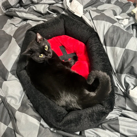 Camas para gatos para os dias das bruxas