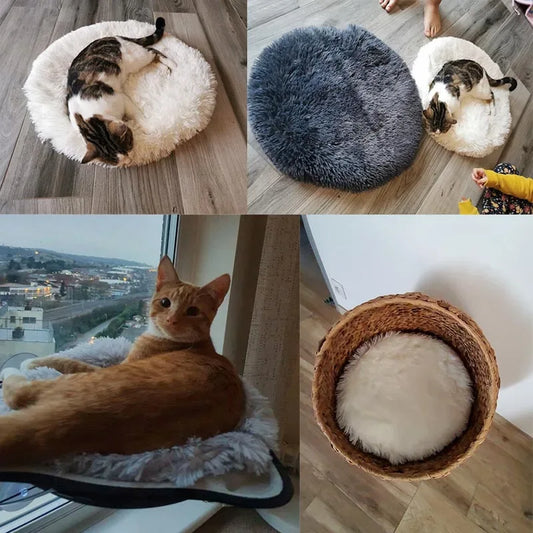 Cama para gato azul tipo tapete felpudo redondo, macio e confortável