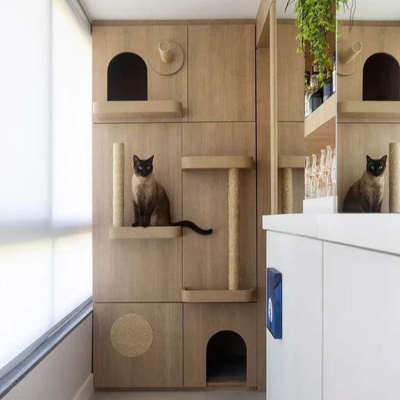 Como deixar sua casa perfeita para um gato (mesmo sendo pequena)