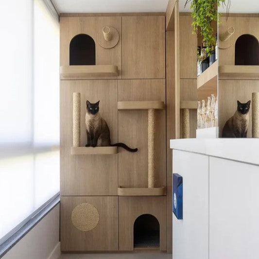 Como deixar sua casa perfeita para um gato (mesmo sendo pequena)