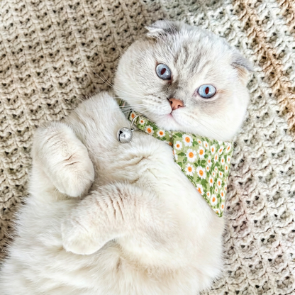 Coleira Bandana Floral