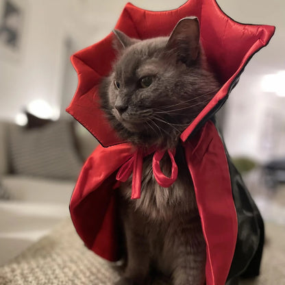 Fantasia Capinha de Vampiro