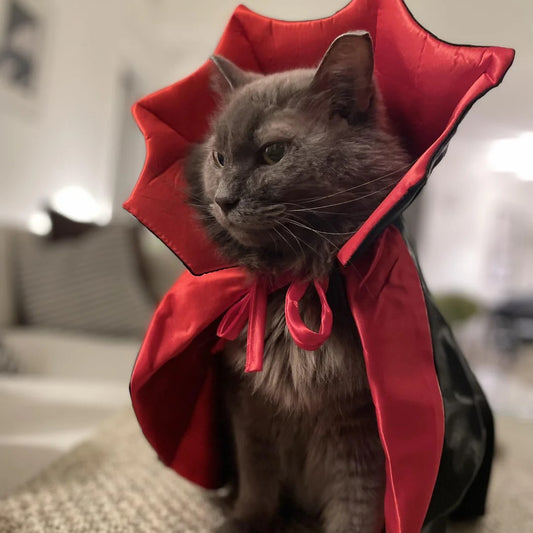 Fantasia Capinha de Vampiro