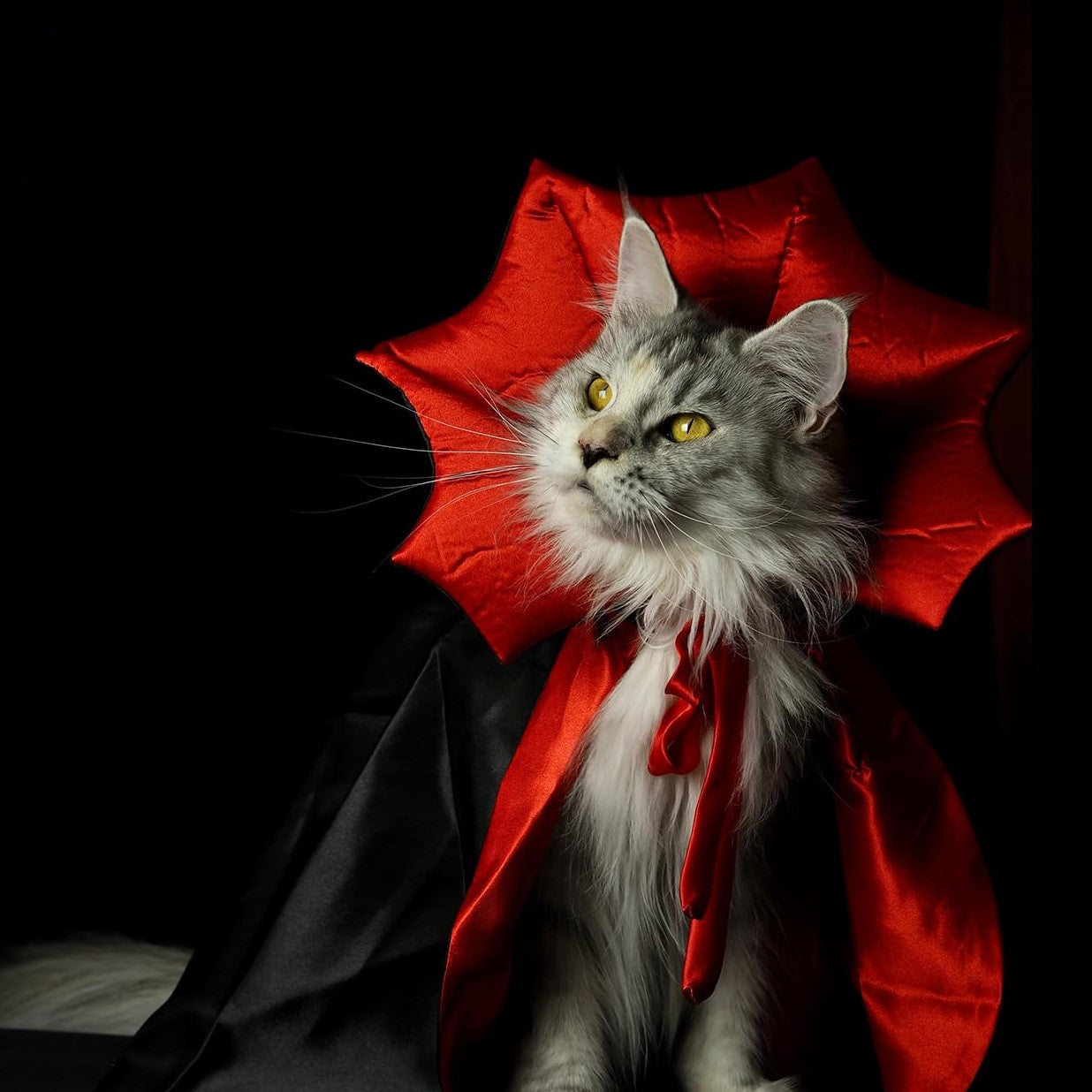 Fantasia Capinha de Vampiro