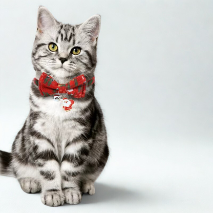 Coleira Natalina com Lacinho