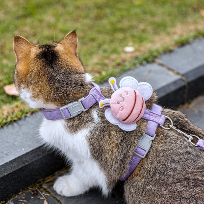 Gato olhando para o lado usando uma coleira para gatos roxo da cantito