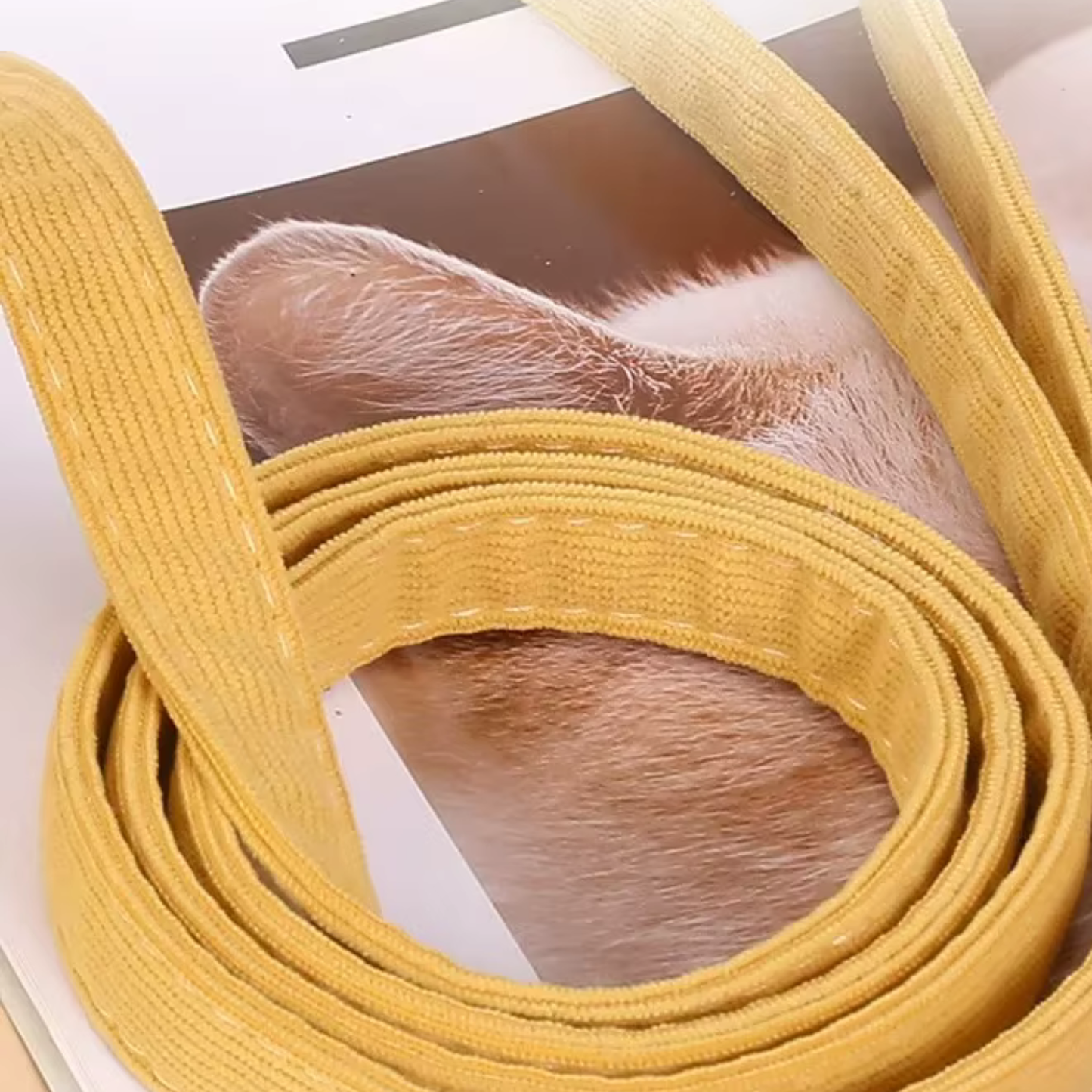zoom no material da guia da coleira peitoral abelha cantito para gatos 
