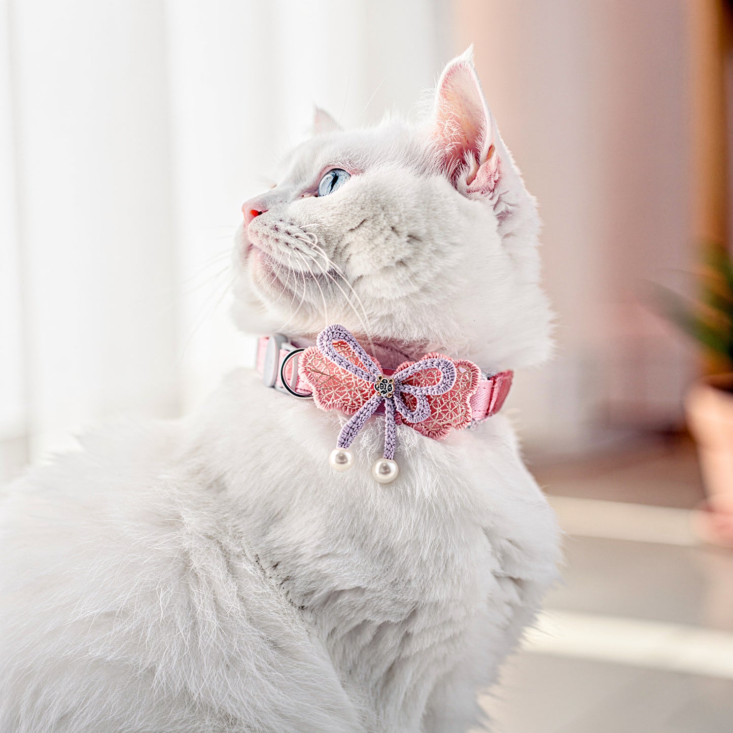 gato branco usando coleira rosa delicada para gatos com bordado de borboleta