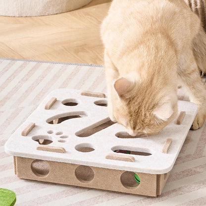 Brinquedo Arranhador Interativo