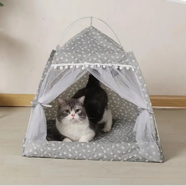 Caminha Tenda – Premium