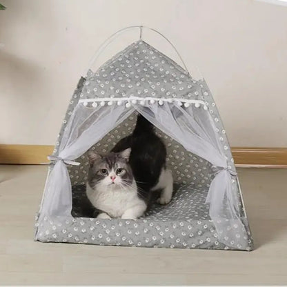 Caminha Tenda – Premium