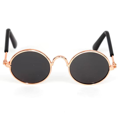 Óculos para Gato Sol & Charme