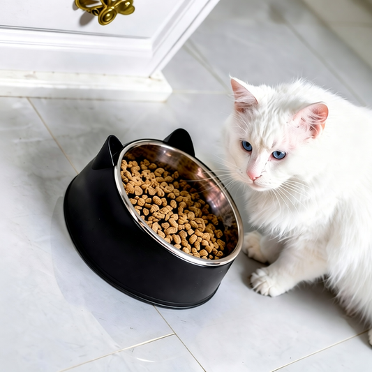 Comedouro com Orelhinha