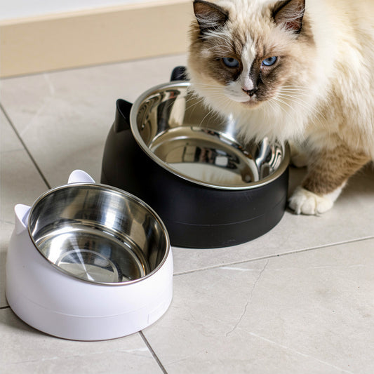 Comedouro com Orelhinha