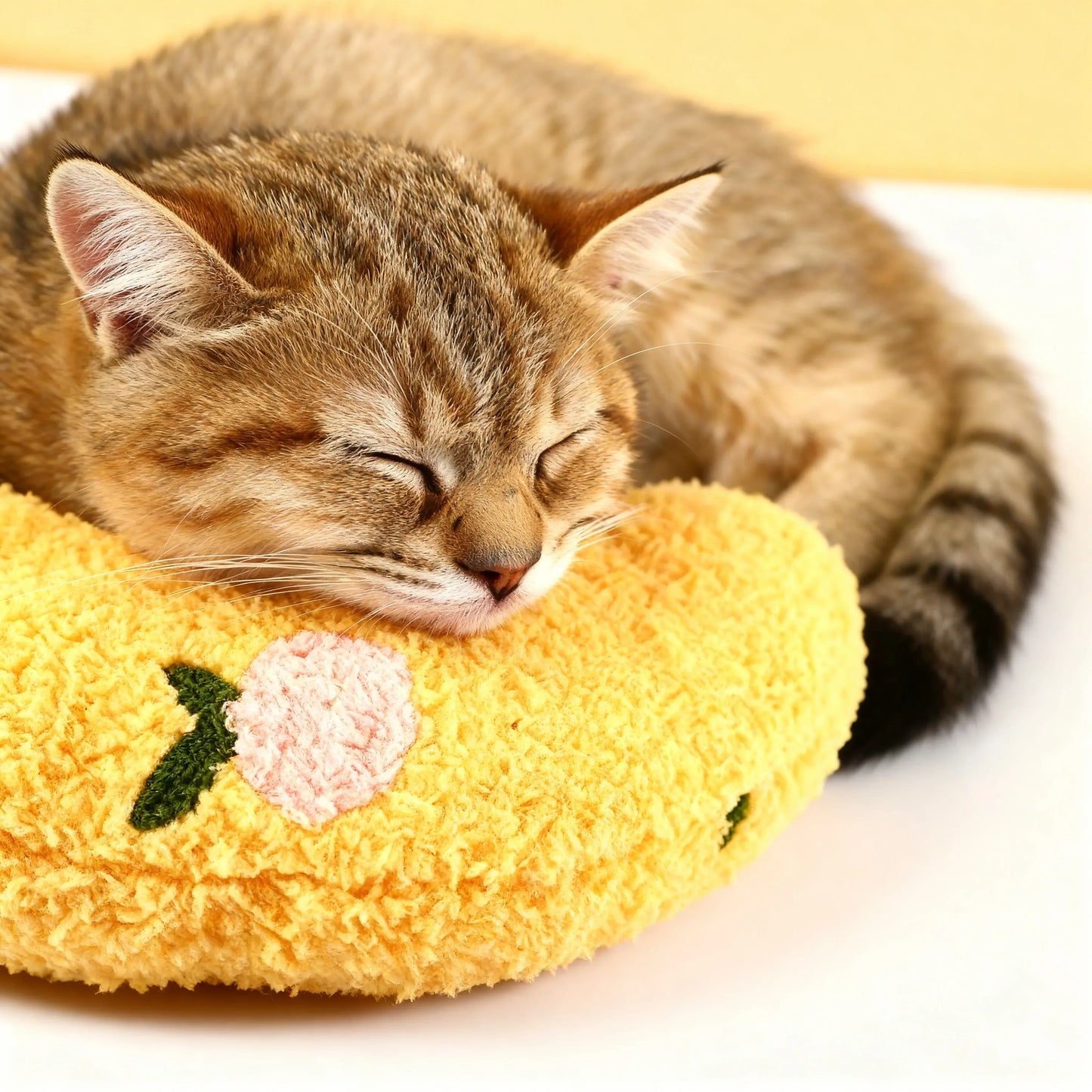 Gato apoiando a cabeça sobre a almofada para gatos macia e confortável