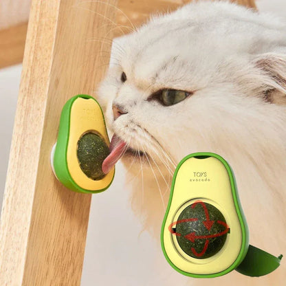 Gato lambendo catnip do brinquedo para gatos estressados 
