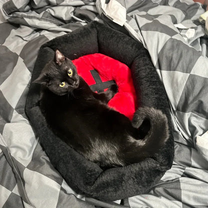 Camas para gatos para os dias das bruxas 