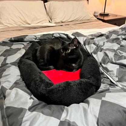 Gato preto deitado sobre cama para halloween