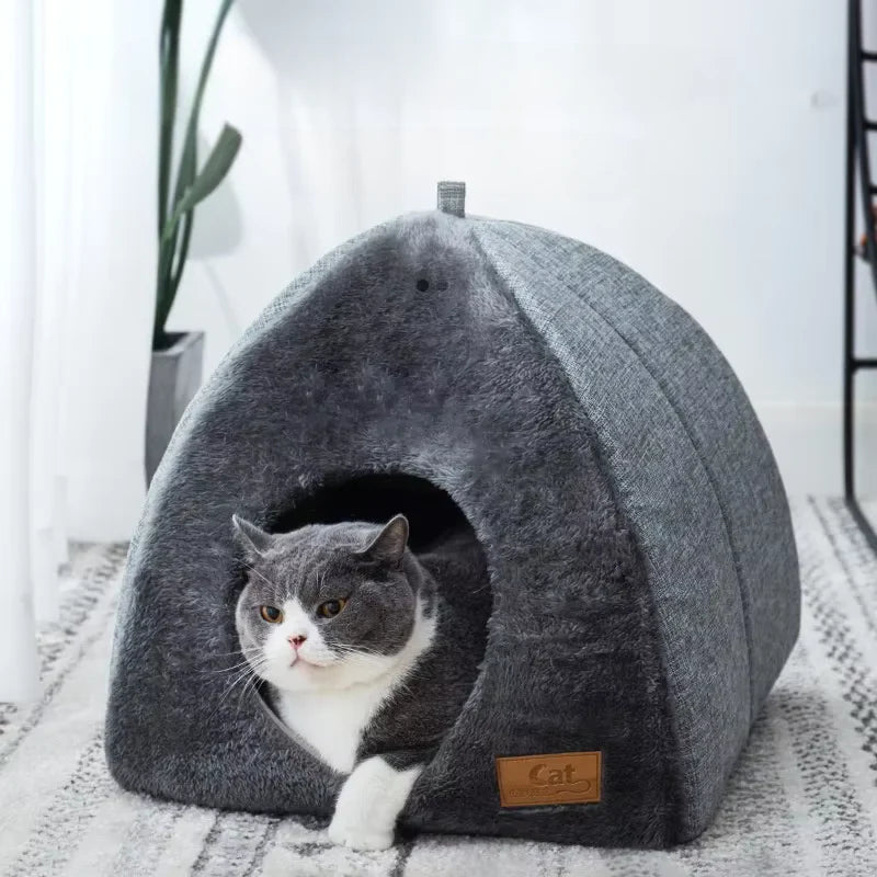 Gato confortável e seguro dentro da cama para gatos refúgio urbano