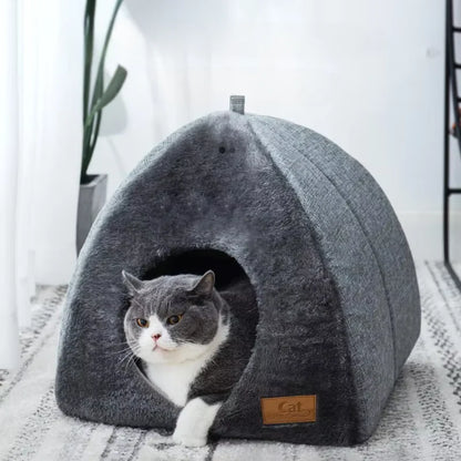 Gato confortável e seguro dentro da cama para gatos refúgio urbano