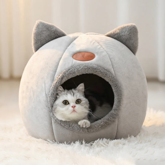 Gato dentro da cama orelha de gato cinza ambiente aconchegante
