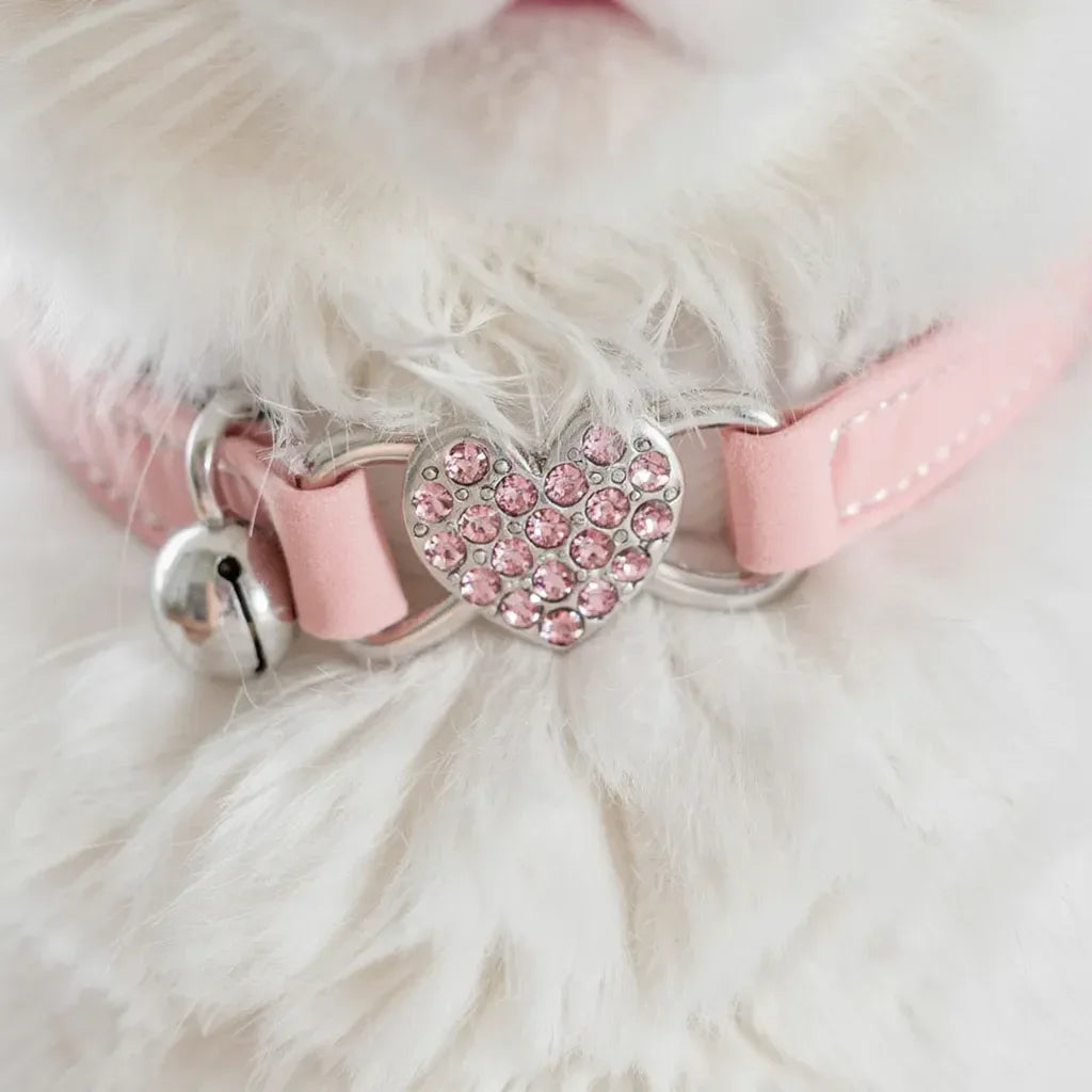 gato usando coleira para gatos rosa ajustável com sino