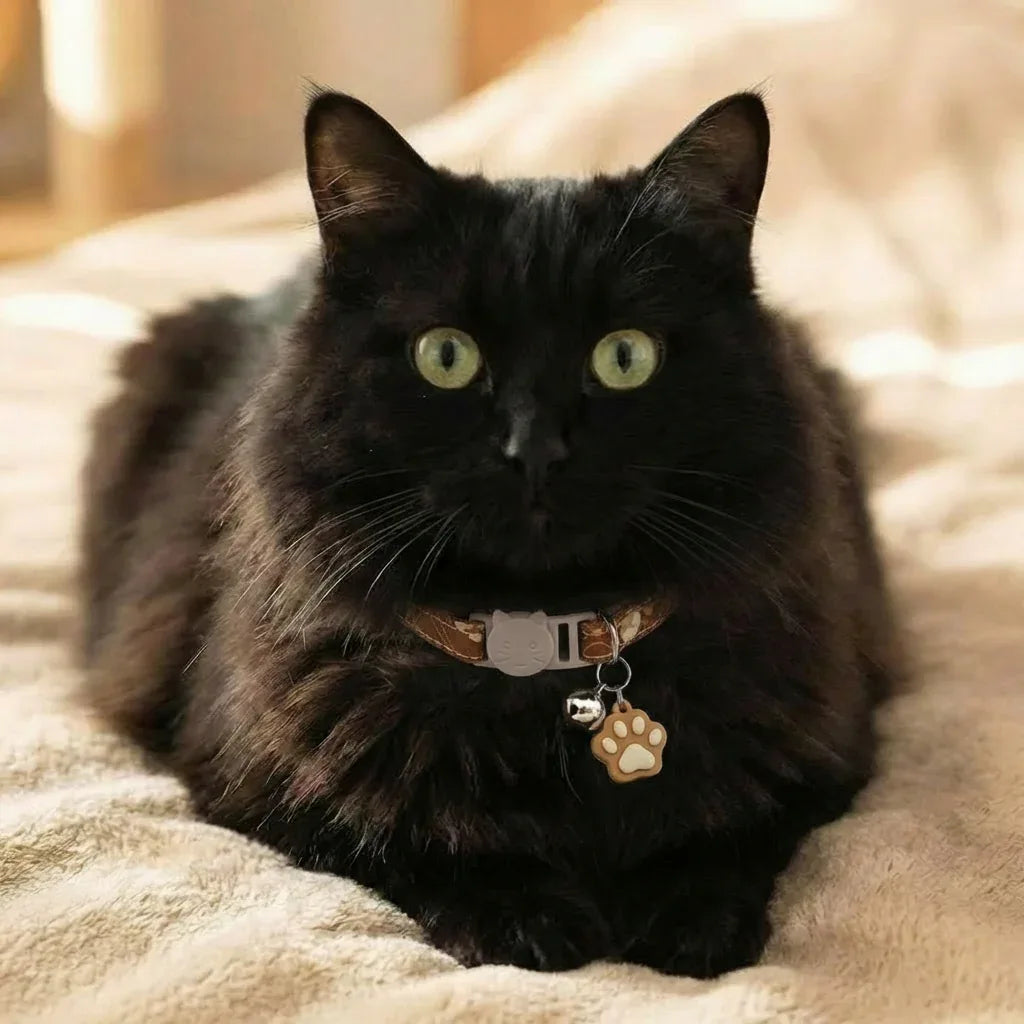 Coleira marrom para gatos 