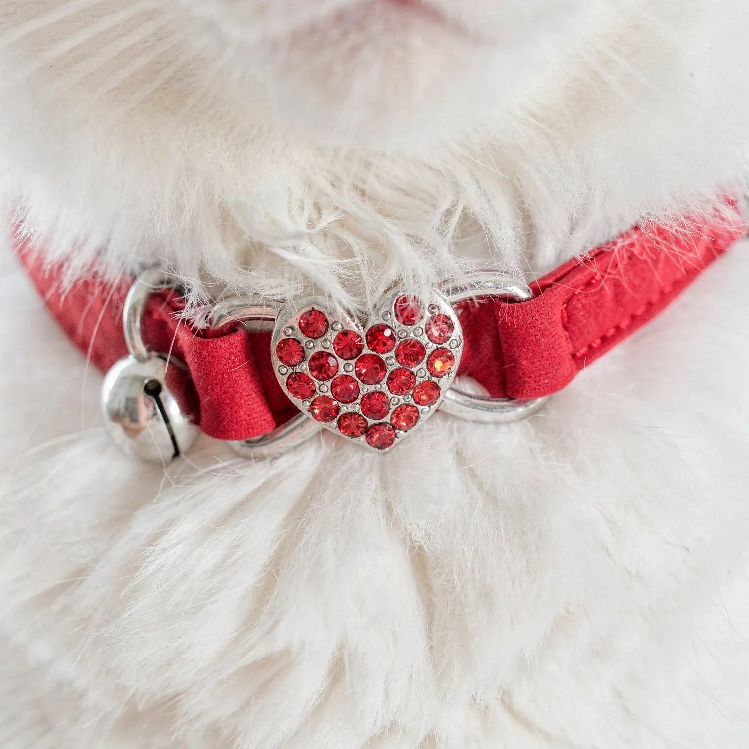 Coleira para gatos vermelha com pingente 