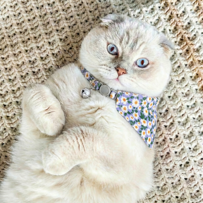 Gato deitado na rede usando coleira gato floral azul