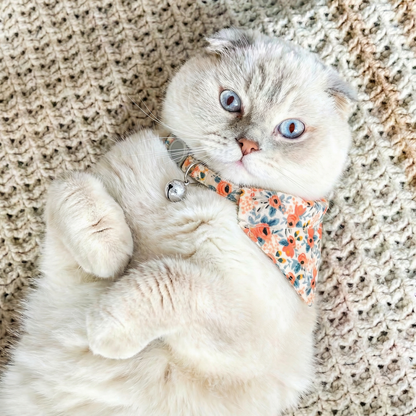 Gato deitado na rede usando coleira gato floral laranja 