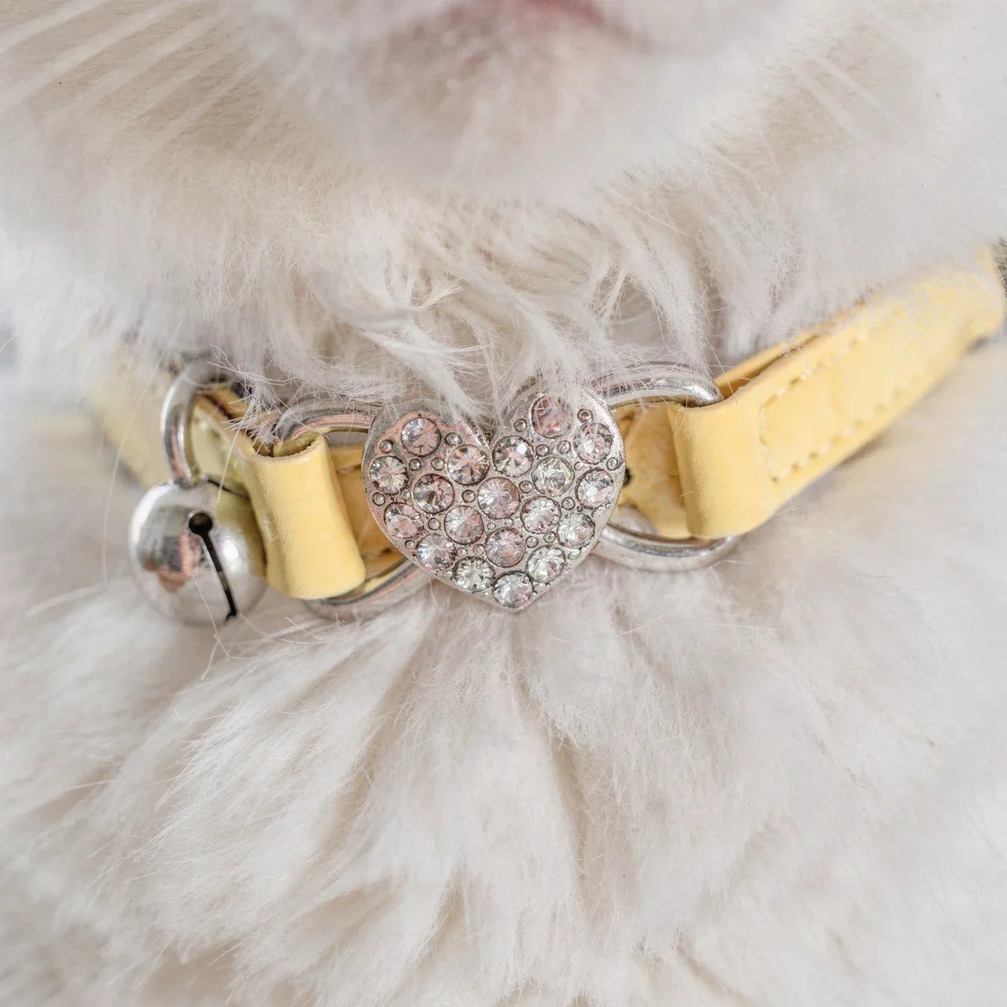 Coleira para gatos amarela confortável