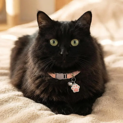 Coleira rosa gato com pingente de patinha 