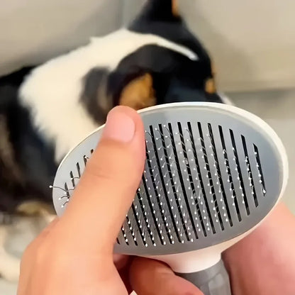 Detalhe dos pentes da escova para gatos 