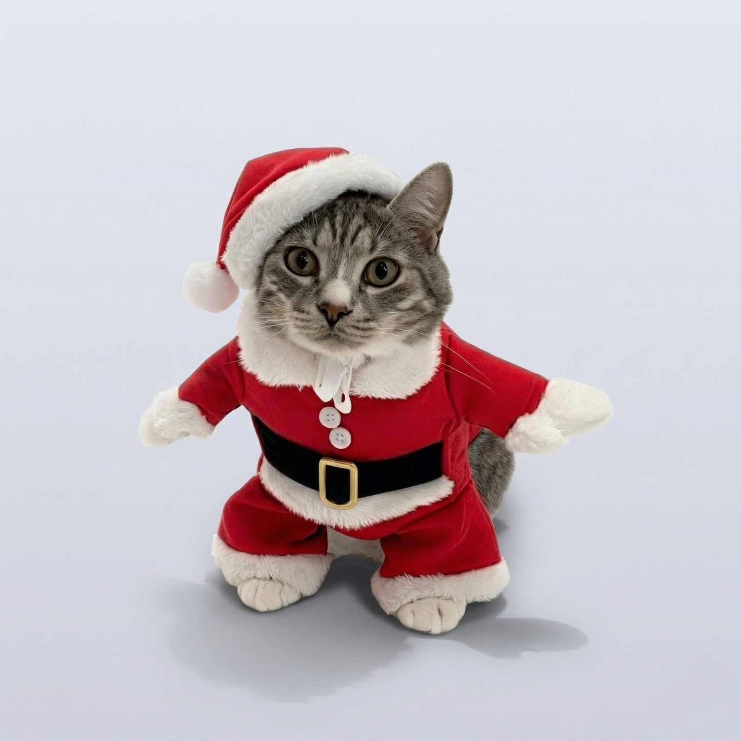 Gato fantasiado com papai noel em fundo neutro