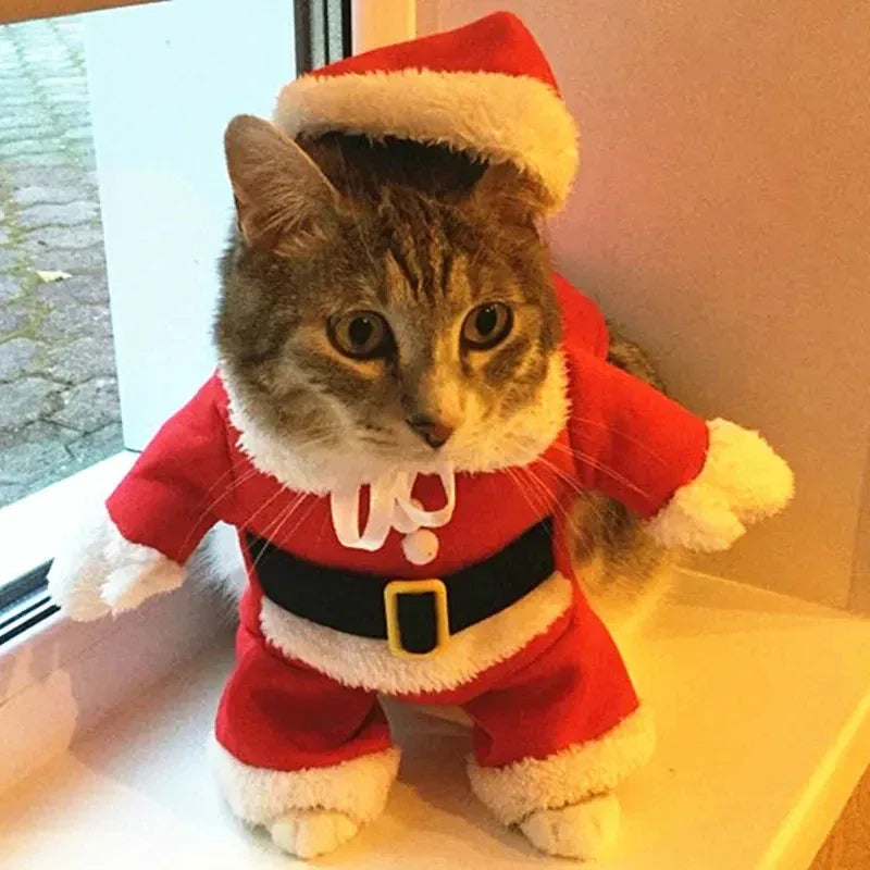 Fantasia de natal para gato confortável e ajustável