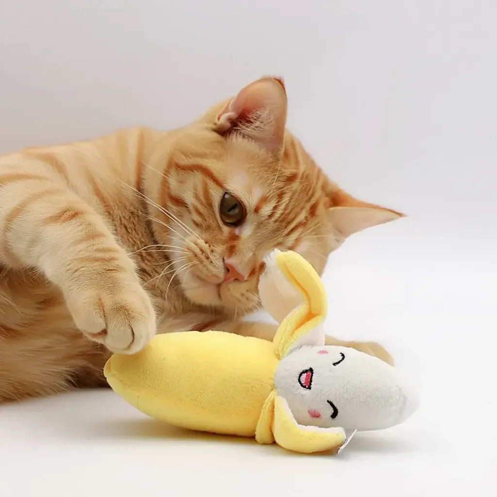 Gato amarelo brincando com brinquedo banana para gatos morder 