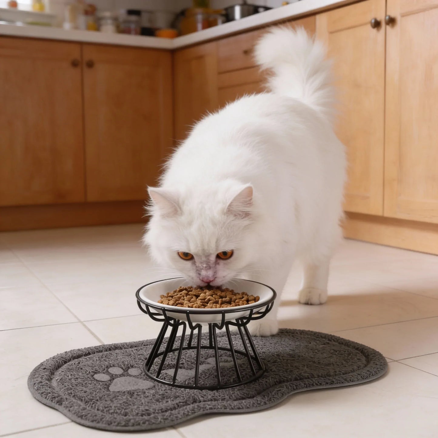 gato comendo no comedouro para gatos

