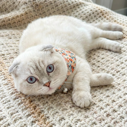 Gato possando para câmera usando uma coleira flora para gato laranja
