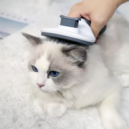 Gato branco com a escova para gatos na cabeça 