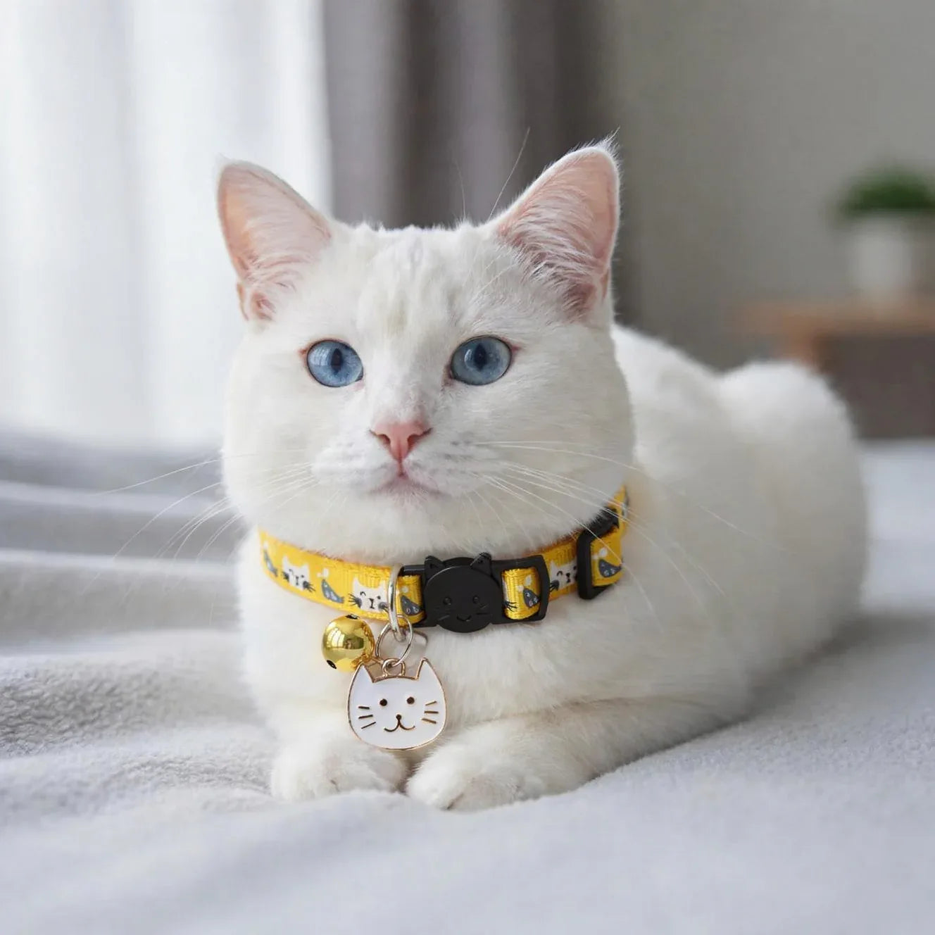 Gato branco usando coleira amarela com pingente