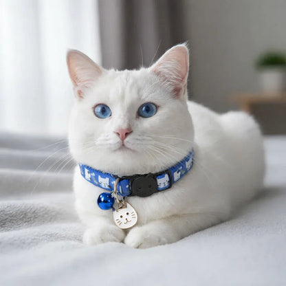 Gato branco usando coleira azul escuro ajustável