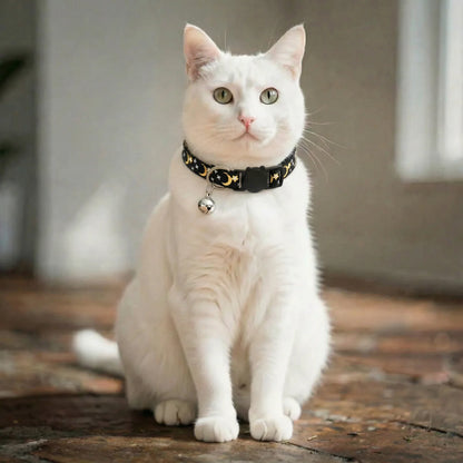 Coleira para gatos preta vestida em gato branco 