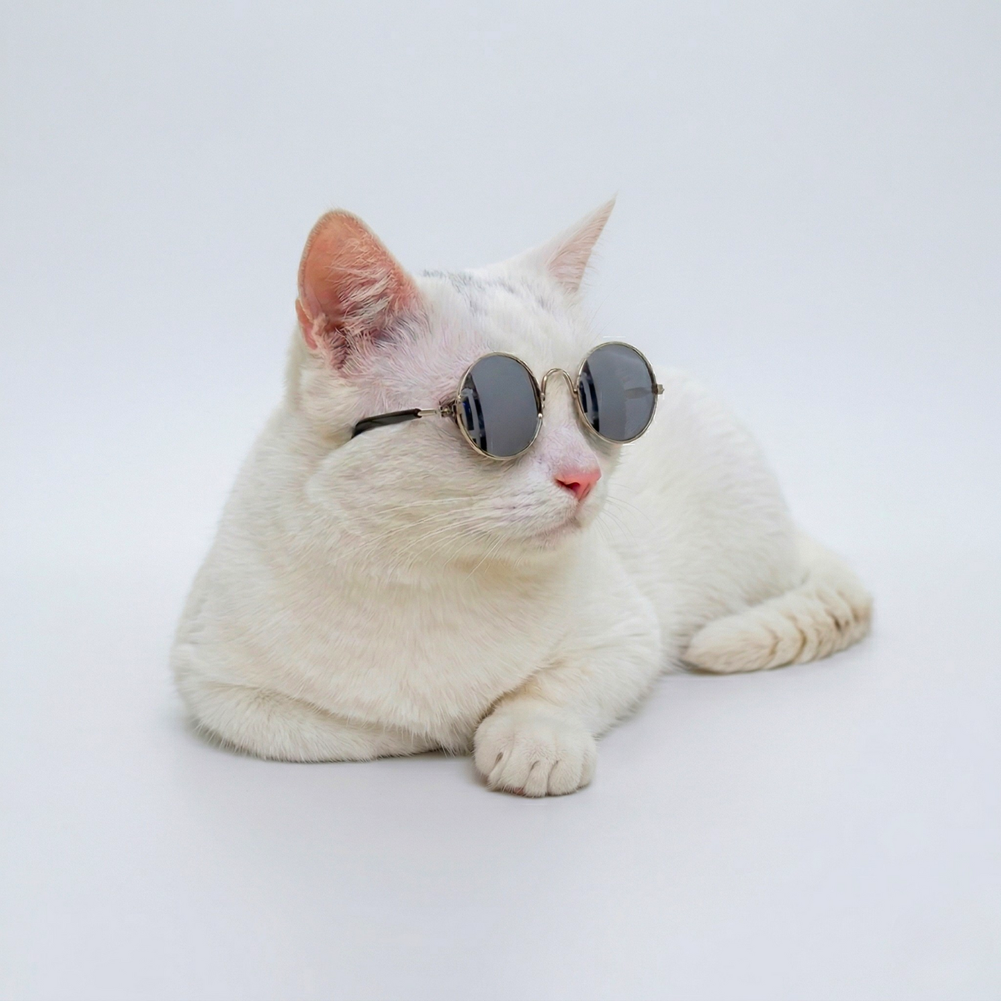 Óculos para Gato Sol & Charme