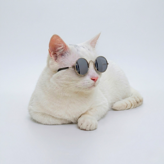 Óculos para Gato Sol & Charme