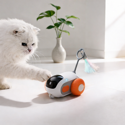 Gato branco e fofo interagindo com um brinquedo interativo caça ativa da Cantito em um ambiente iluminado e moderno.